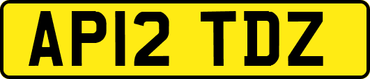 AP12TDZ