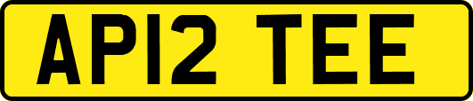 AP12TEE