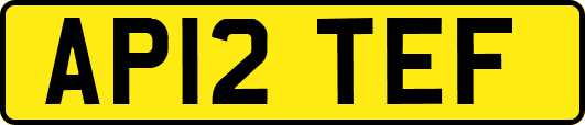 AP12TEF