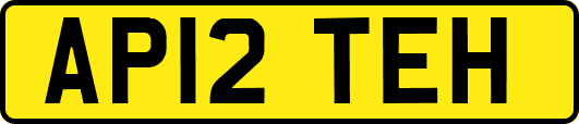 AP12TEH