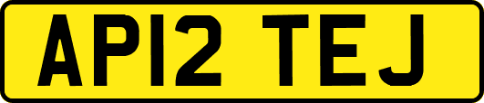 AP12TEJ