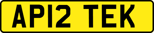 AP12TEK