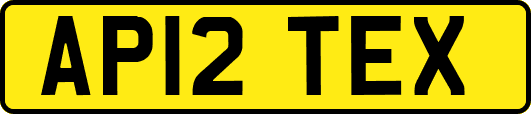 AP12TEX