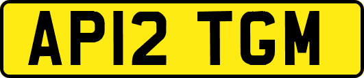 AP12TGM