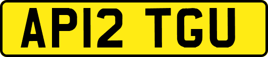 AP12TGU