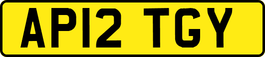 AP12TGY