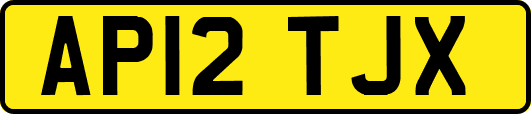 AP12TJX