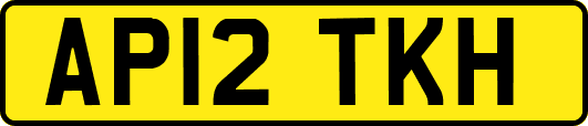 AP12TKH
