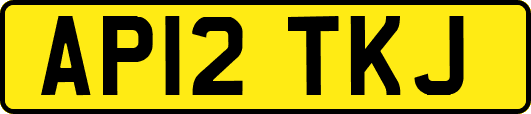AP12TKJ