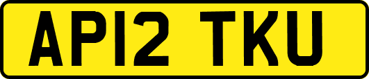 AP12TKU