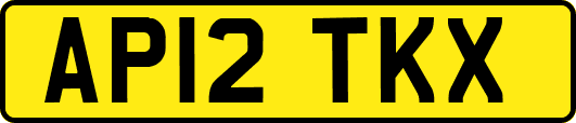 AP12TKX
