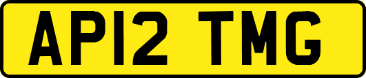 AP12TMG