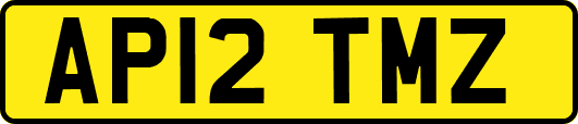 AP12TMZ