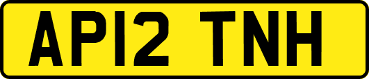 AP12TNH