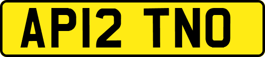 AP12TNO
