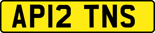 AP12TNS