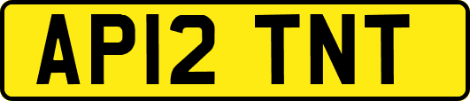 AP12TNT
