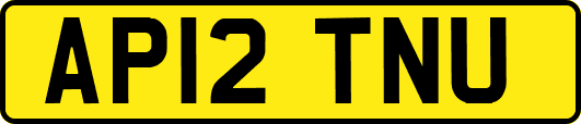 AP12TNU
