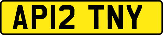 AP12TNY