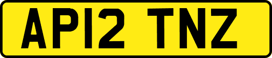 AP12TNZ