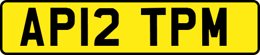 AP12TPM
