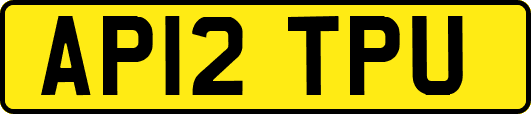 AP12TPU