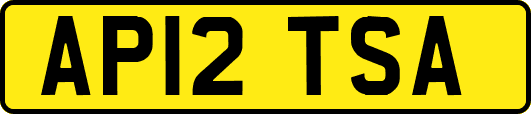 AP12TSA