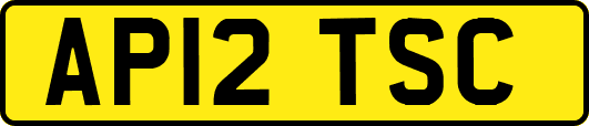 AP12TSC
