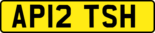 AP12TSH