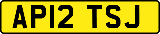 AP12TSJ