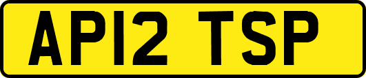 AP12TSP