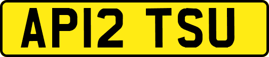 AP12TSU