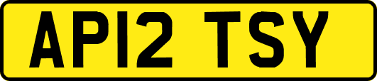 AP12TSY