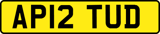 AP12TUD