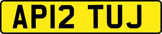 AP12TUJ