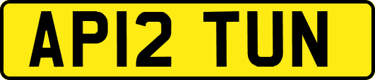 AP12TUN