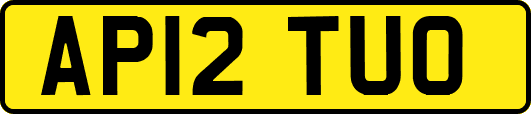 AP12TUO