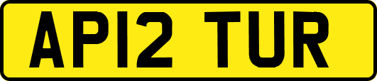 AP12TUR