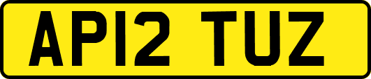 AP12TUZ