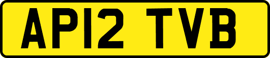 AP12TVB