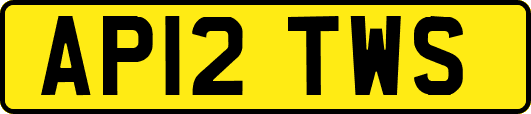 AP12TWS