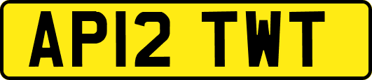 AP12TWT