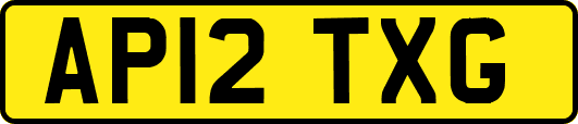 AP12TXG