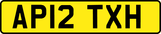 AP12TXH