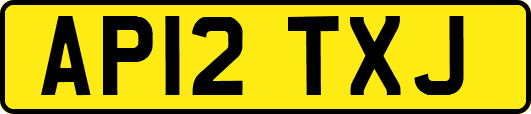 AP12TXJ