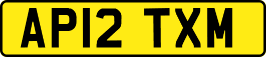 AP12TXM