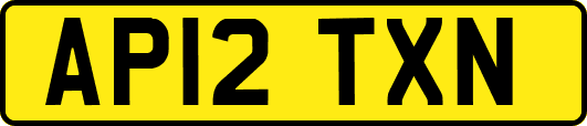 AP12TXN