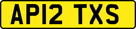 AP12TXS