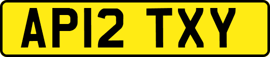 AP12TXY