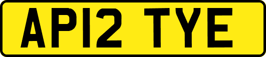 AP12TYE